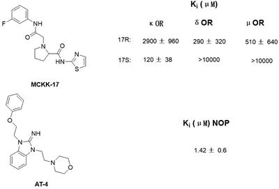 The Use of Computational Approaches in the Discovery and Mechanism Study of Opioid Analgesics